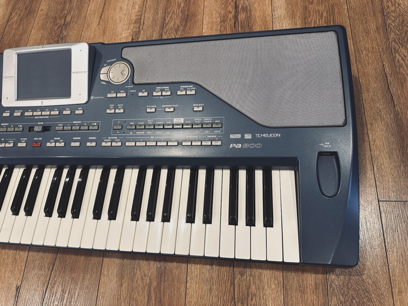Korg PA-800 Professional Arranger..........#1