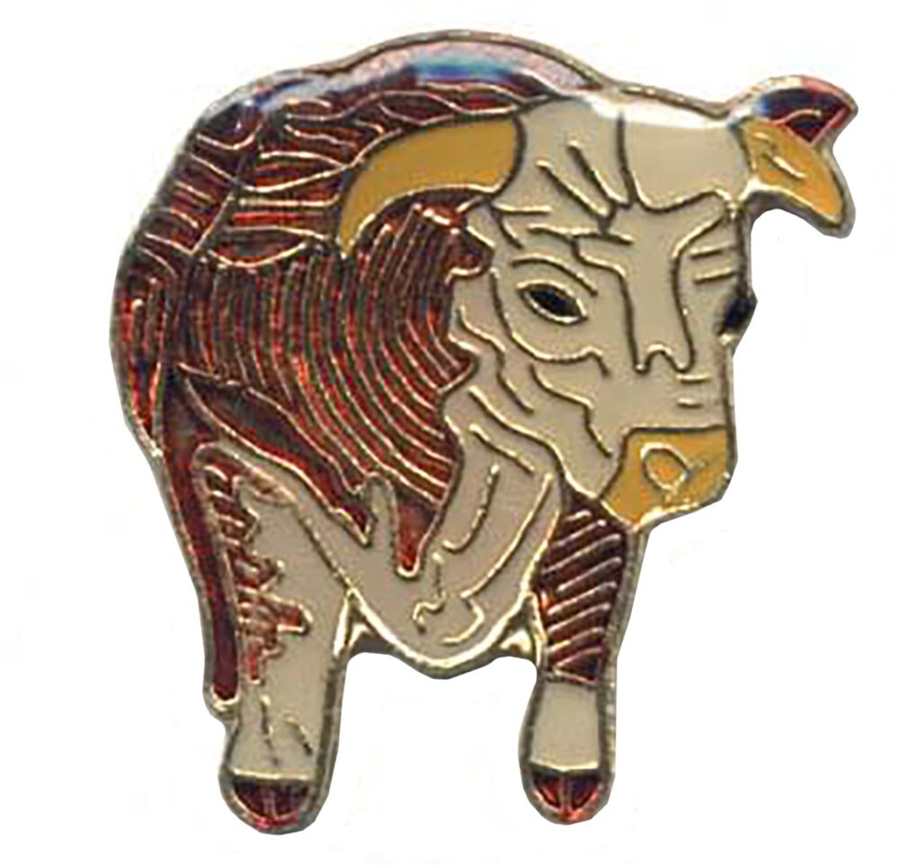 Pack of 3 Bull Bike Motorcycle Hat Cap Lapel Pin HP211