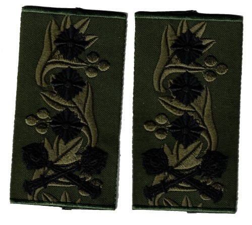 Ukrainian Colonel-General shoulder slides on OD