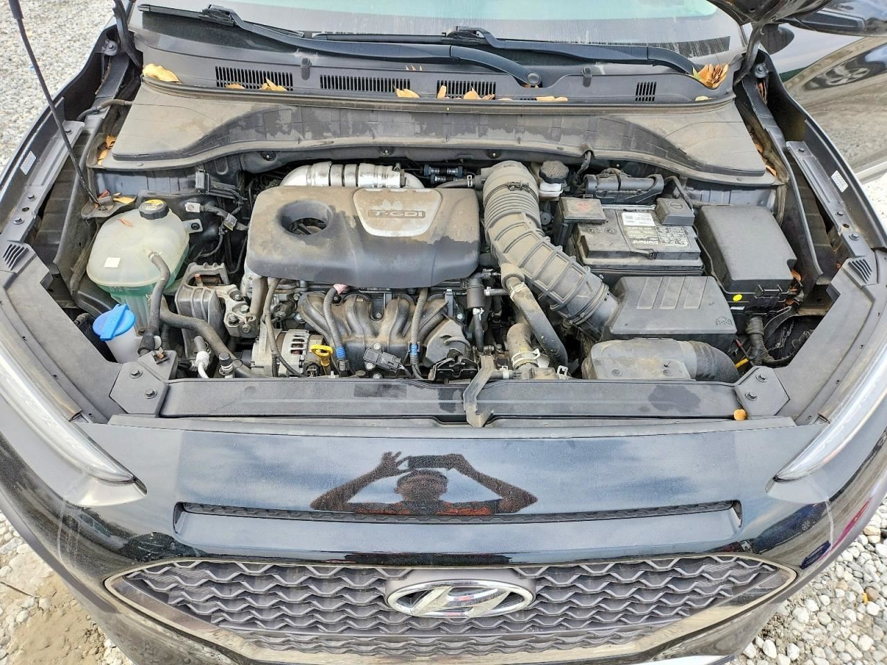 KONA 2019 Glove Box 4948668