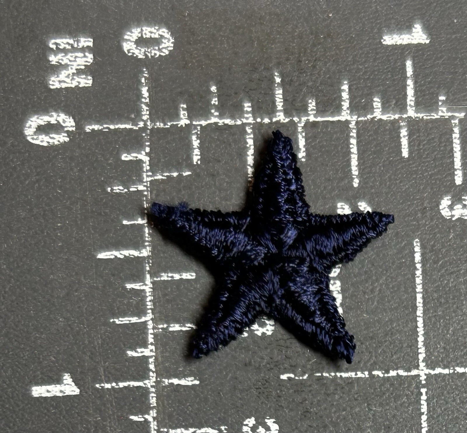Navy Blue Star Soccer Team Football Club FC Championships Applique Badge Patch