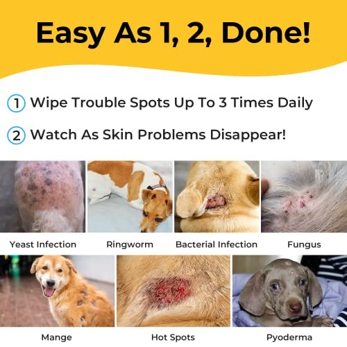 Smiling Paws Pets Antibacterial & Antifungal Wipes for Dogs & Cats - Treats