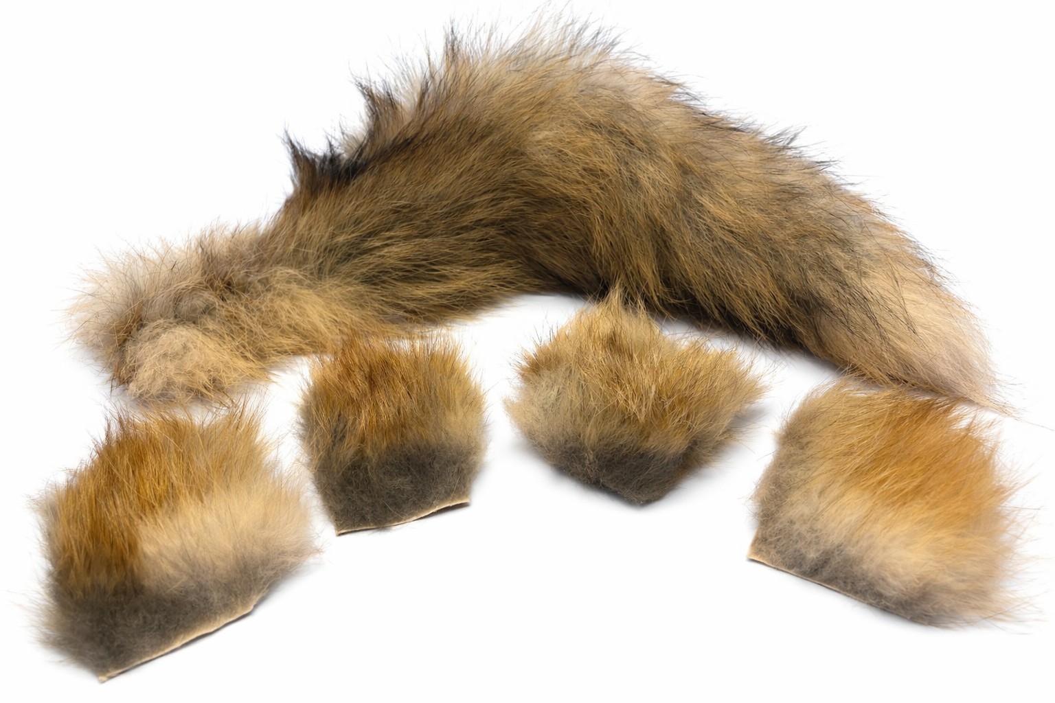 Red Fox Tail & Fur Fly Tying Lot – Tail + 4 Pieces Natural Hair