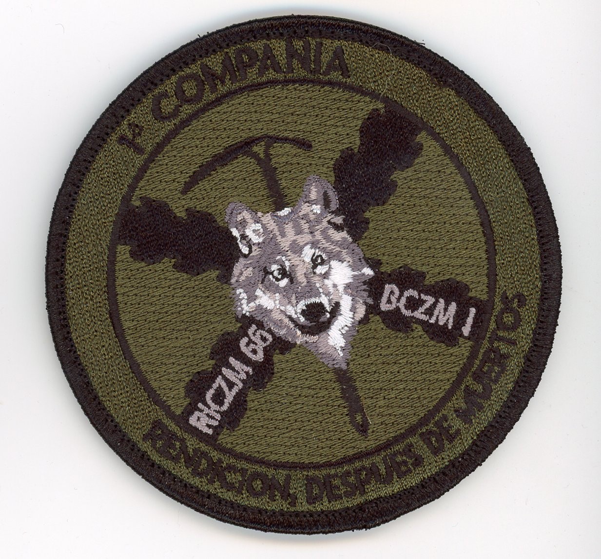 PATCH SPAIN ARMY MOUNTAIN 1st COMPANY RICZM 66 BCZM 1  VEL L BACK GREEN