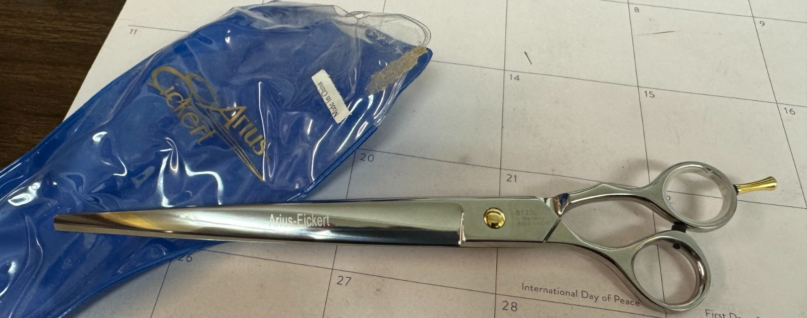 Arius Eickert 8120L-10 10" Professional Hair Cutting Scissors - LEFTY