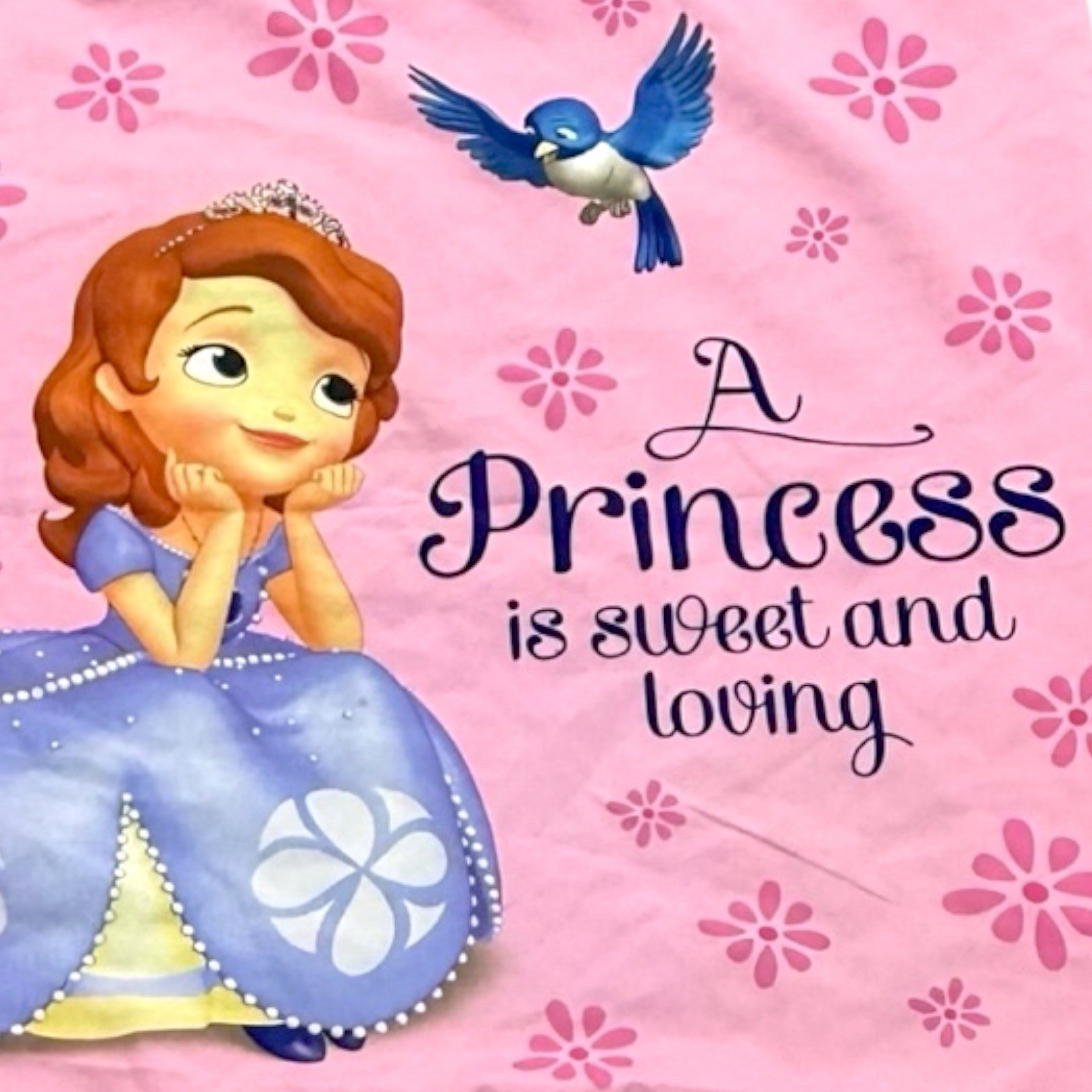 Disney Princess Sofia Pillowcases Set Pink Kids Bedding Standard 30x19.5 Pair