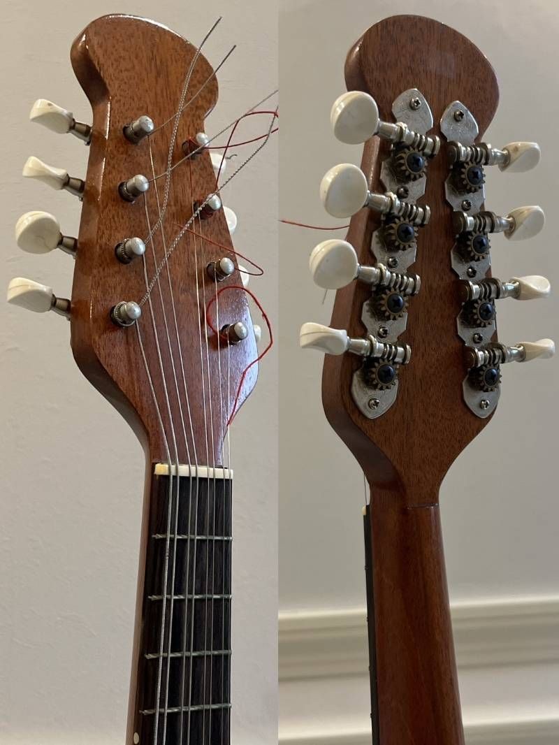 Minoru Noguchi Mandolin String Instrument with Hard Case