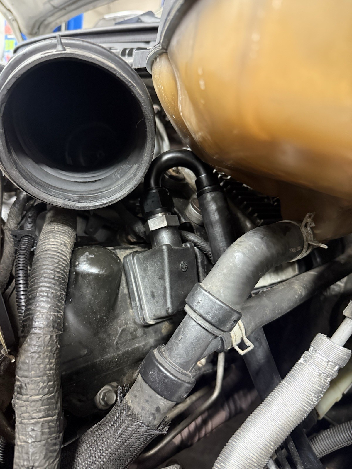 6.0 ccv