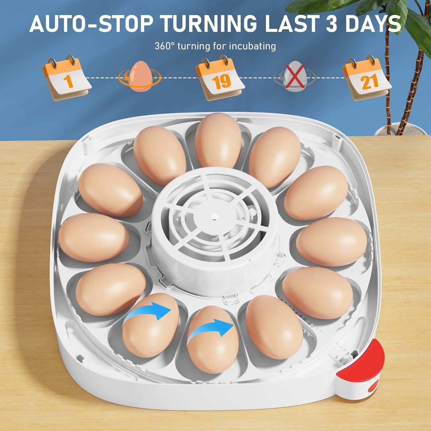 Egg Incubator for Hatching 12 Eggs with Automatic Egg Turning Egg Candler Gift!