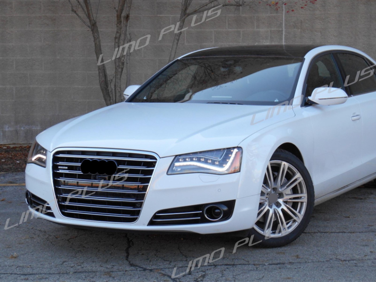 Front Bumper Grille Radiator Grill Gloss Silver Grid For Audi A8 D4 2011-2014