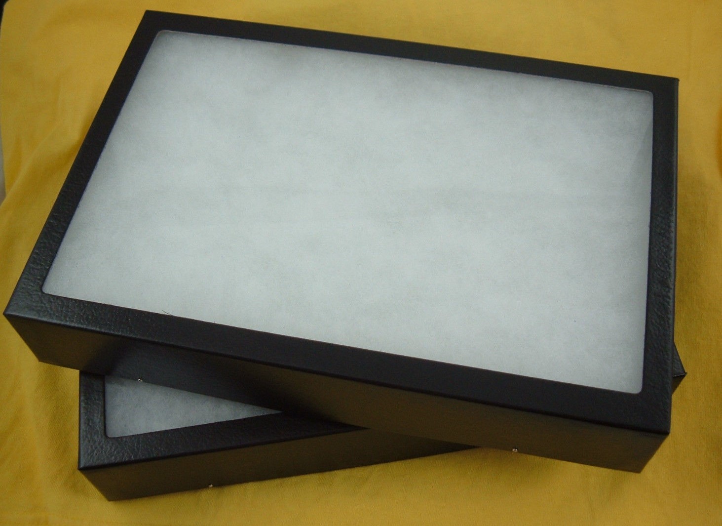 2 Riker Mount Style 8 X 12 X 2 Inch Black Collectors Display Case Collecting