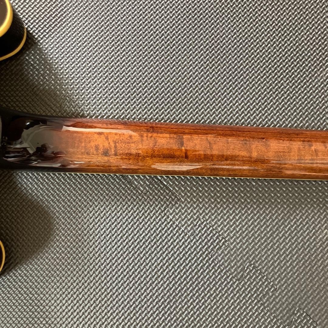History Gh-Sa Timeless Timber 02