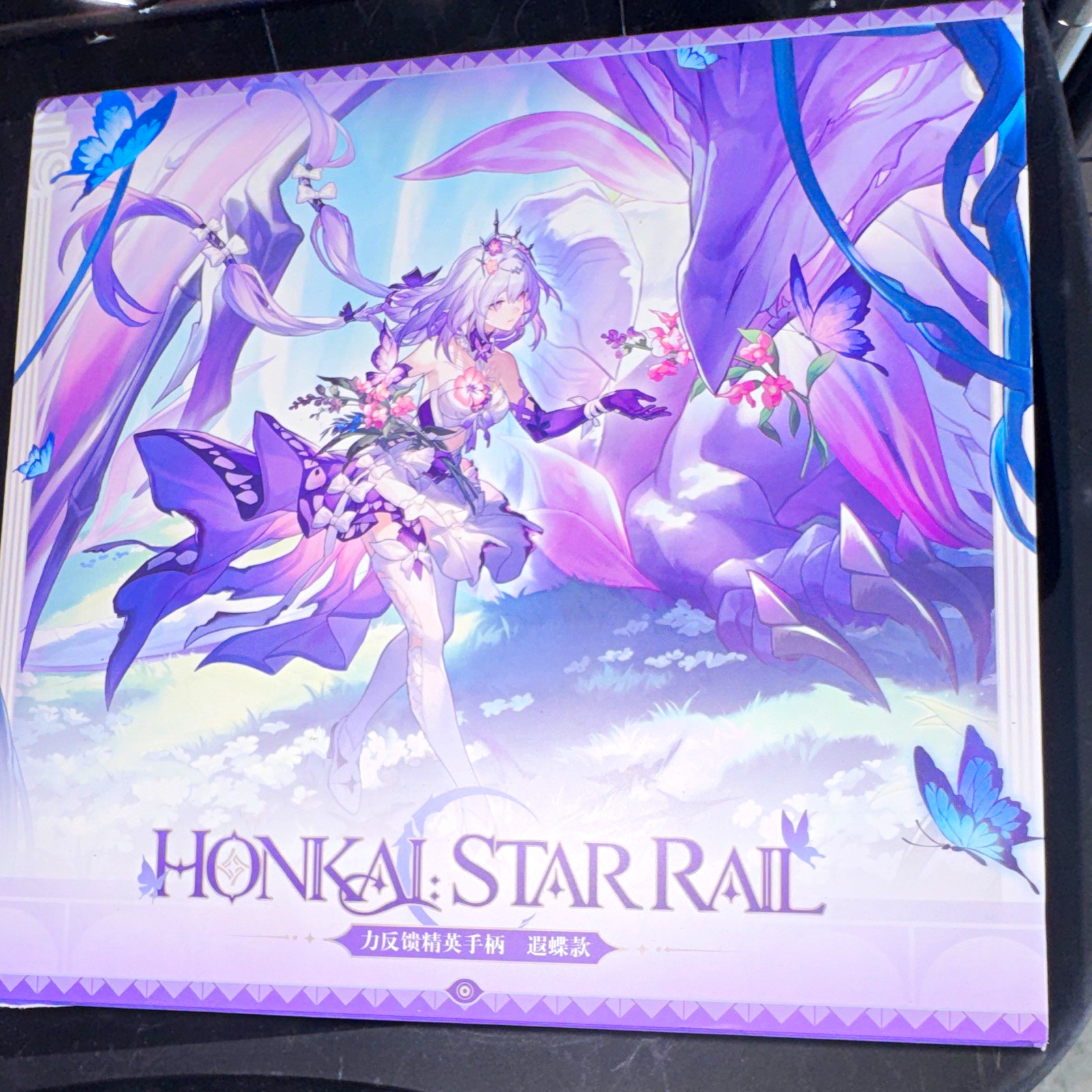 miHoYo Honkai: Star Rail Castorice Elite Controller Bundle Case USB Cable