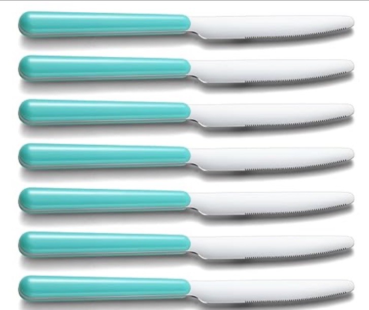 Gymdin 36 Piece Dinner Knives Set Blue