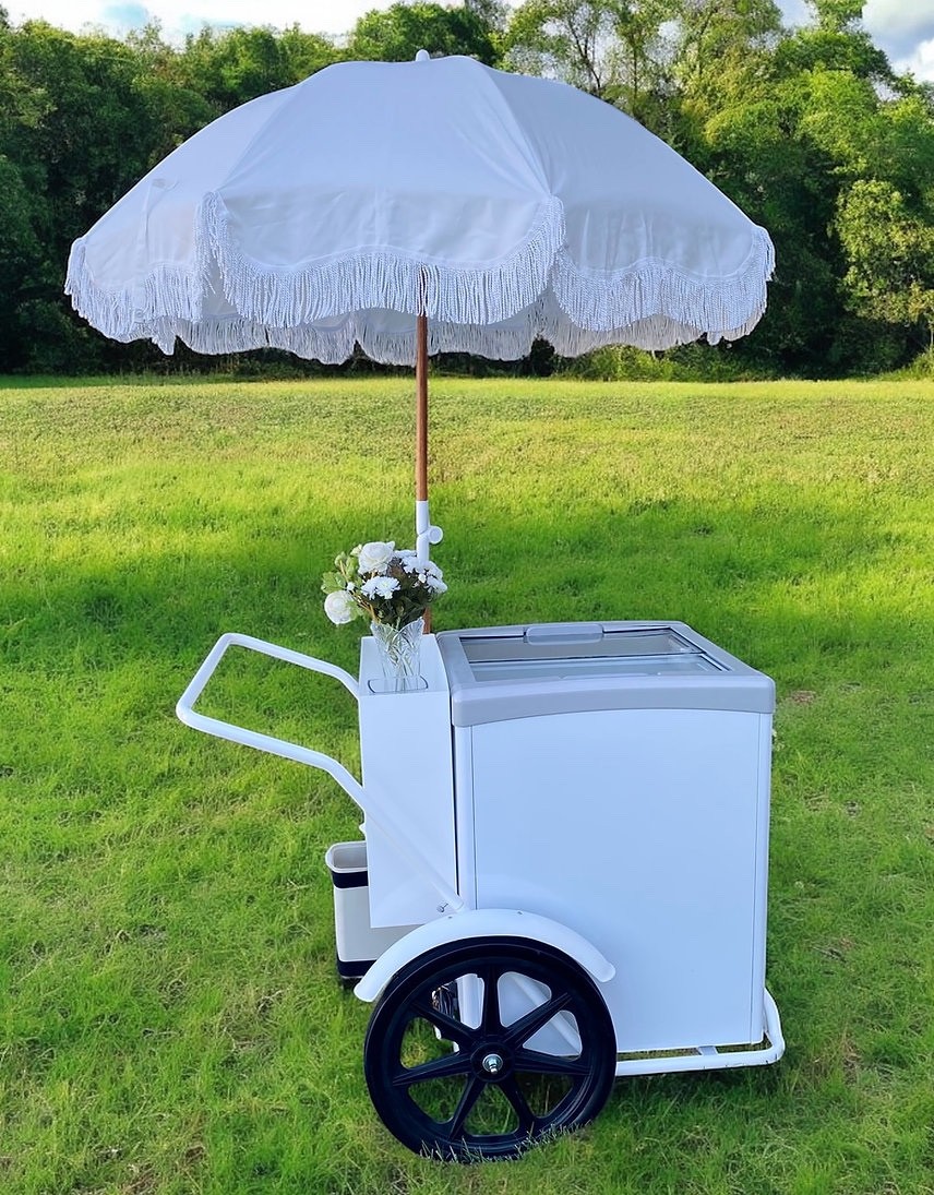 GELATO ELECTRIC CART ICE CREAM ELECTRIC MOBILE CART ICE CREAM VENDORS CART