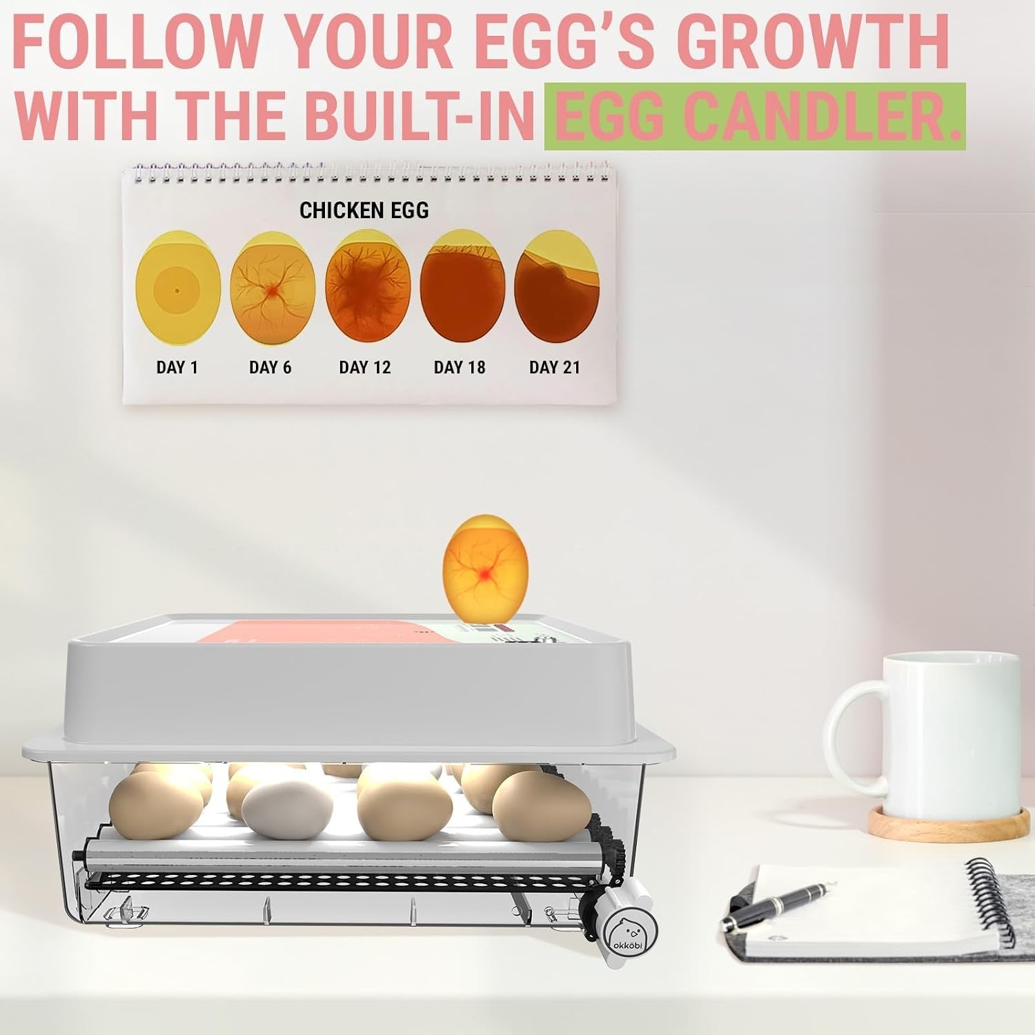 OBI-36 Egg Incubator for Hatching - 36 Eggs - Stable Temperature & Humidity C...