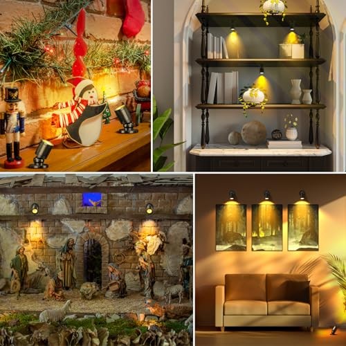 Mini LED Spotlight Plug in, 2-in-1 Indoor Small Spot Lights Cord Switch Black