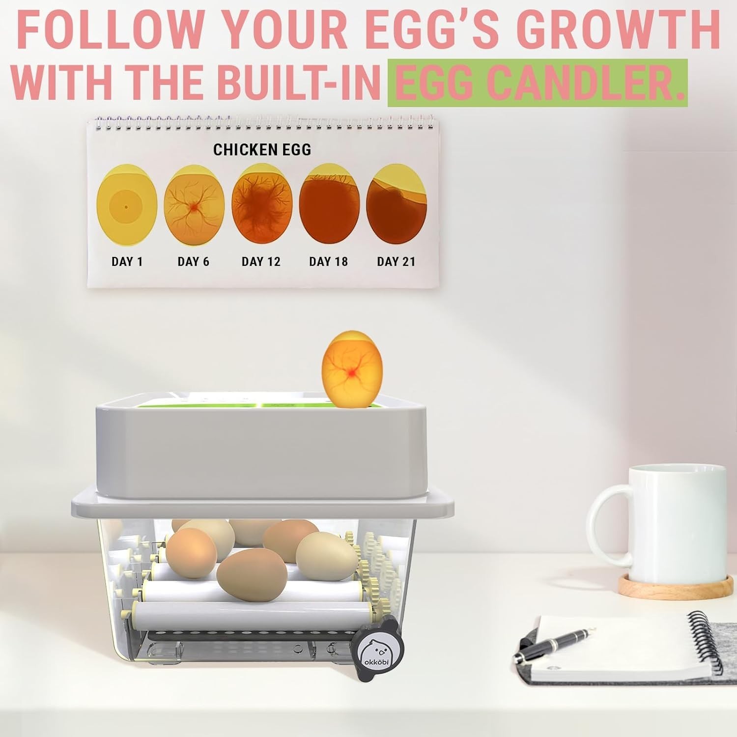 OBI-12 Egg Incubators for Hatching Eggs – Incubator for 12 Eggs with Automatic E