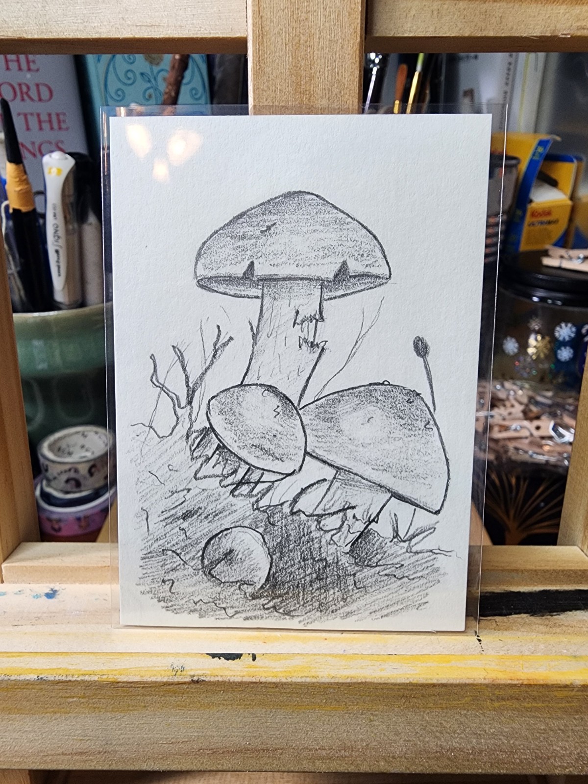 ACEO Original Graphite Mushroom Drawing, 2.5 x 3.5 inches Signed By Artist