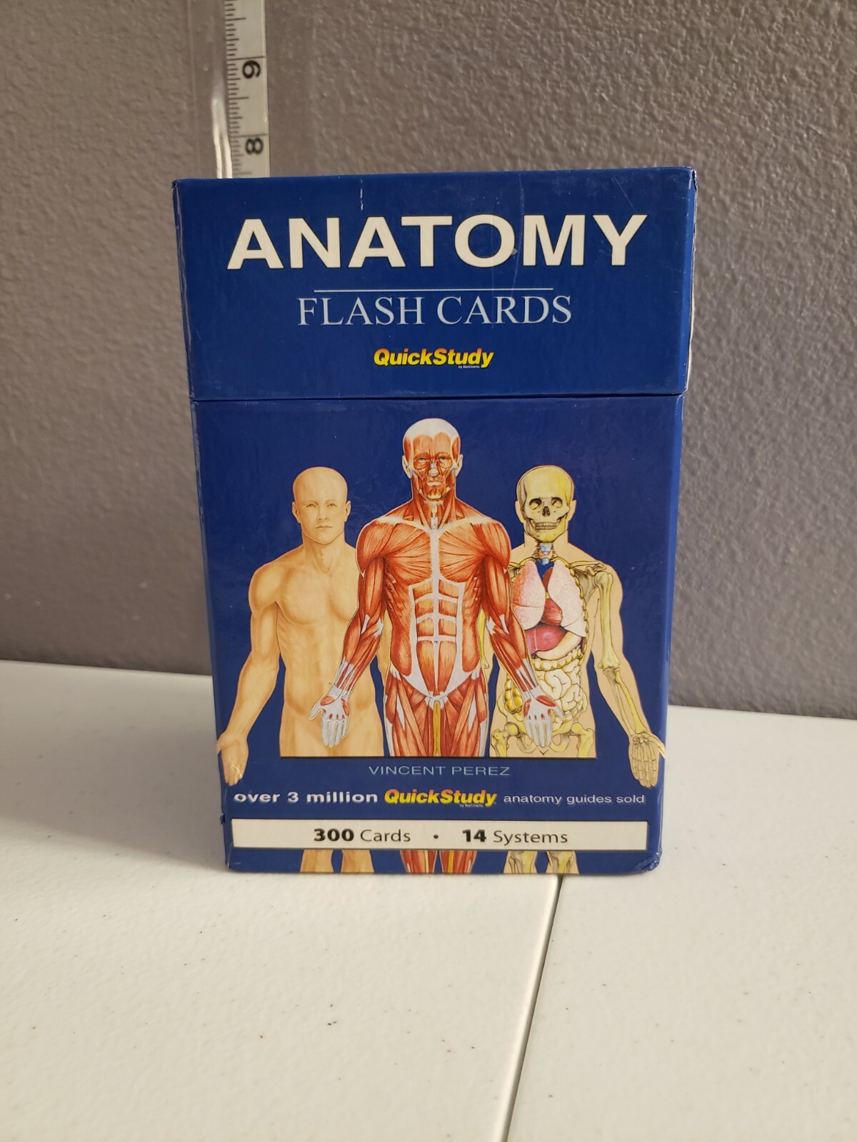 Medical Human Anatomy Educational Flash Cards