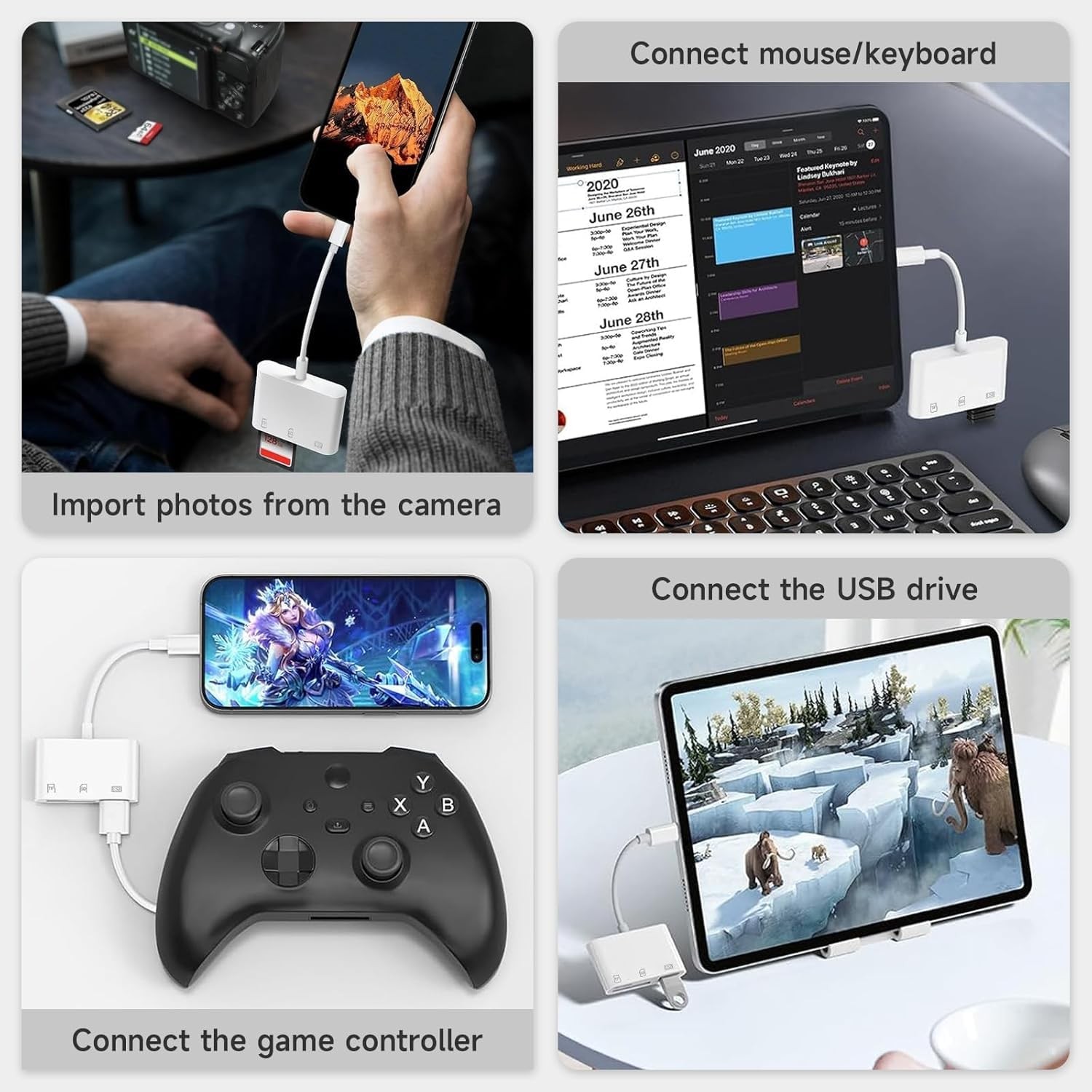 USB C SD Card Reader for iPhone 17e 17 16 15 Pro Max C