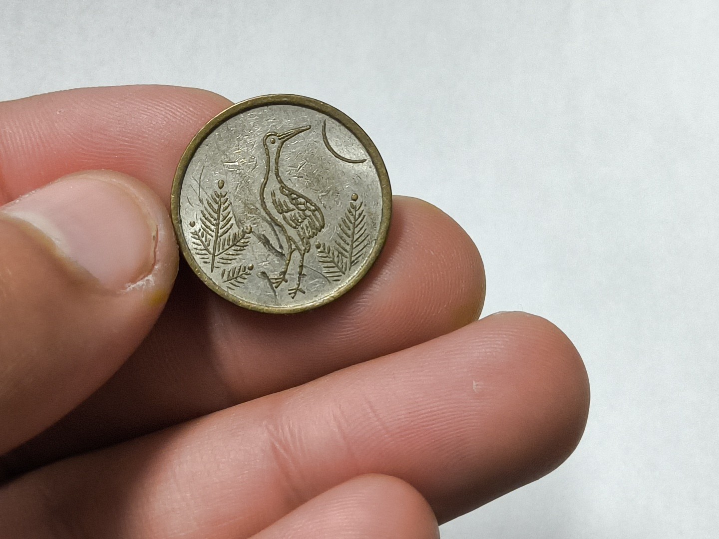 Owl & Heron Designs Token