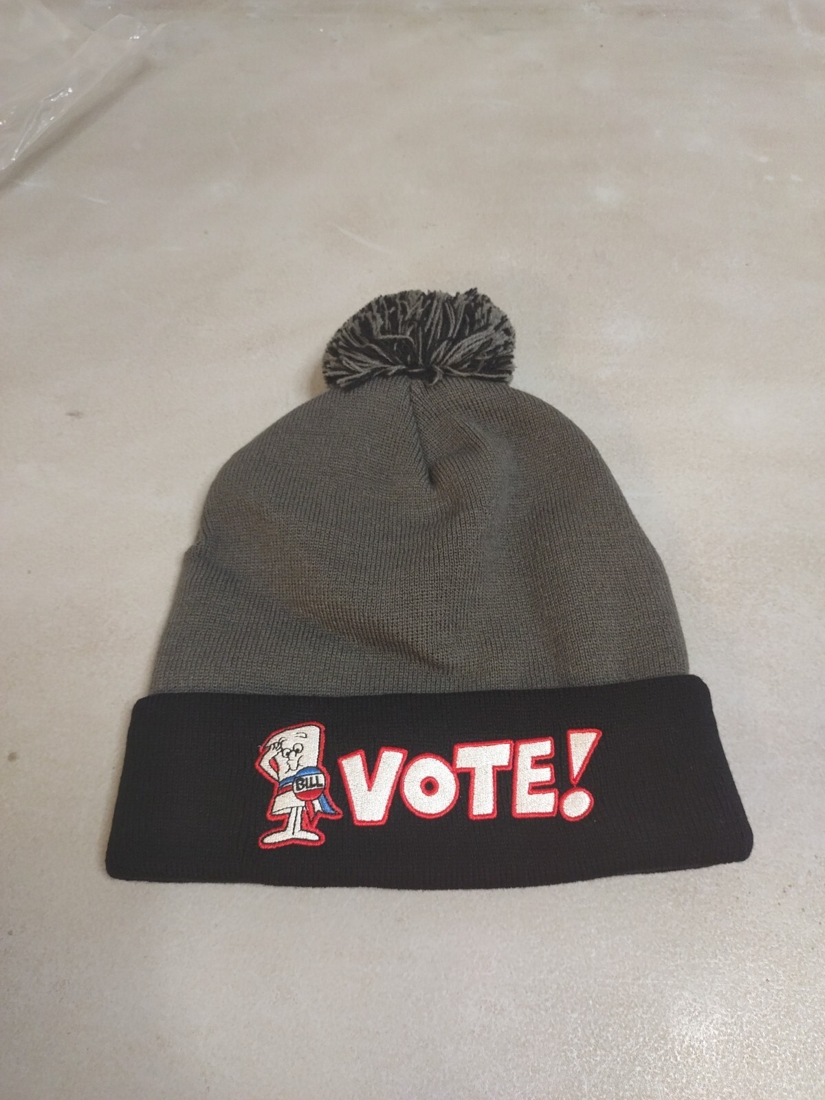 Winter Beanie Hat VOTE