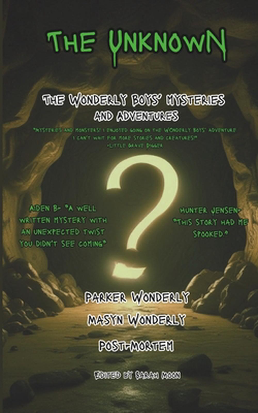 The Unknown: The Wonderly Boys' Mysteries and Adventures by Parker Wonderly Pape