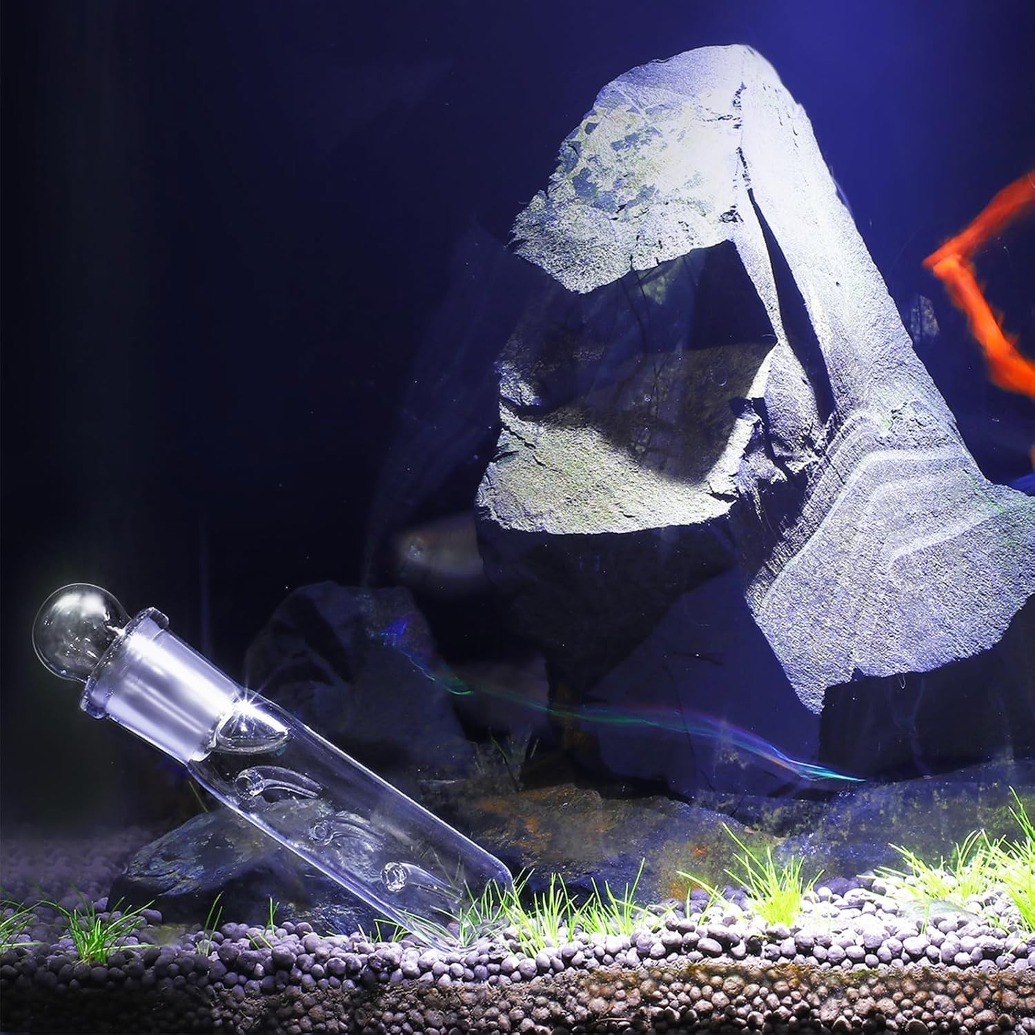 4 Pack Planaria Catch Trap for Aquarium Snail Leech Clear Glass Planaria Trap fo