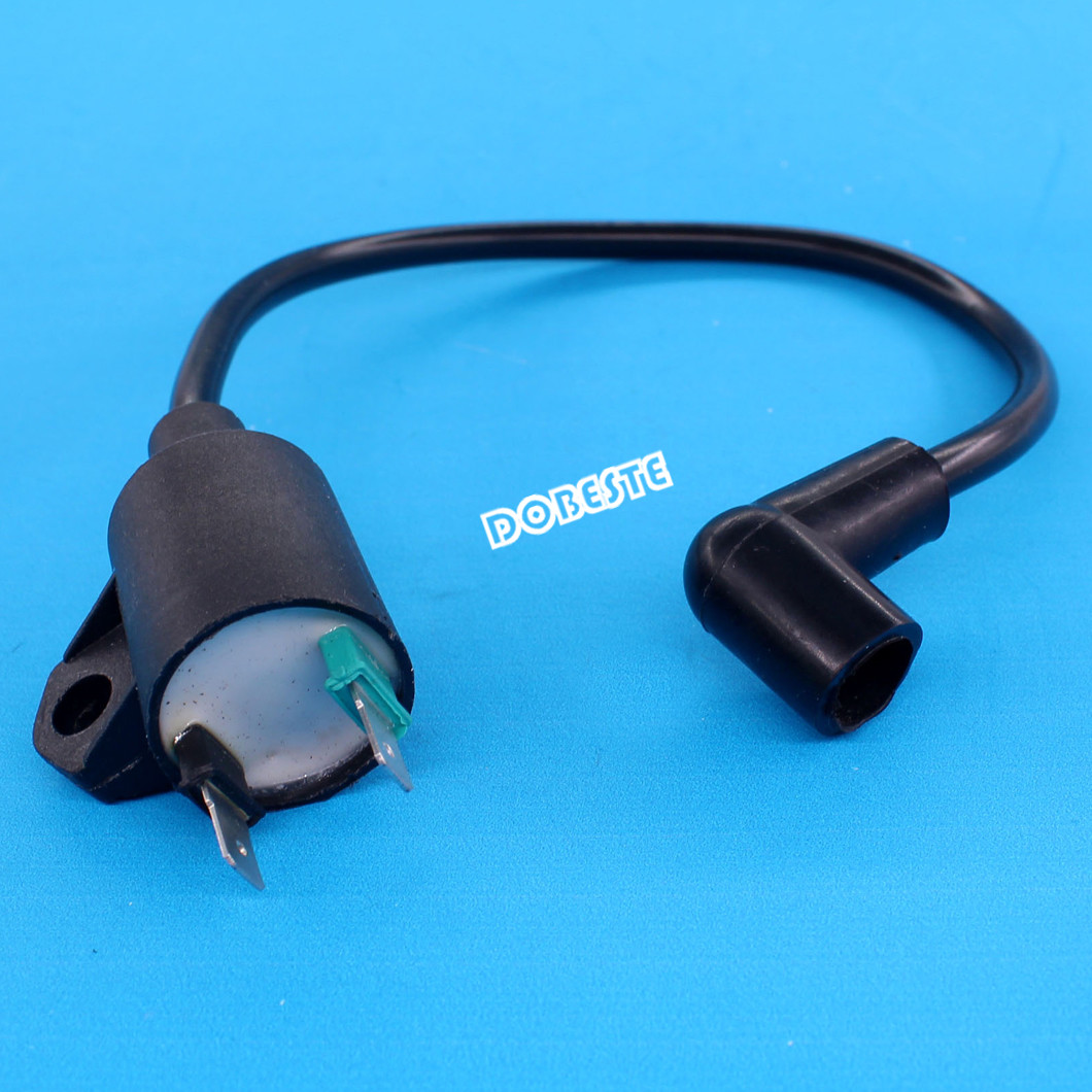 Ignition Coil For Chicago Electric Storm 800 900 Watts 60338 66619 69381 Engine