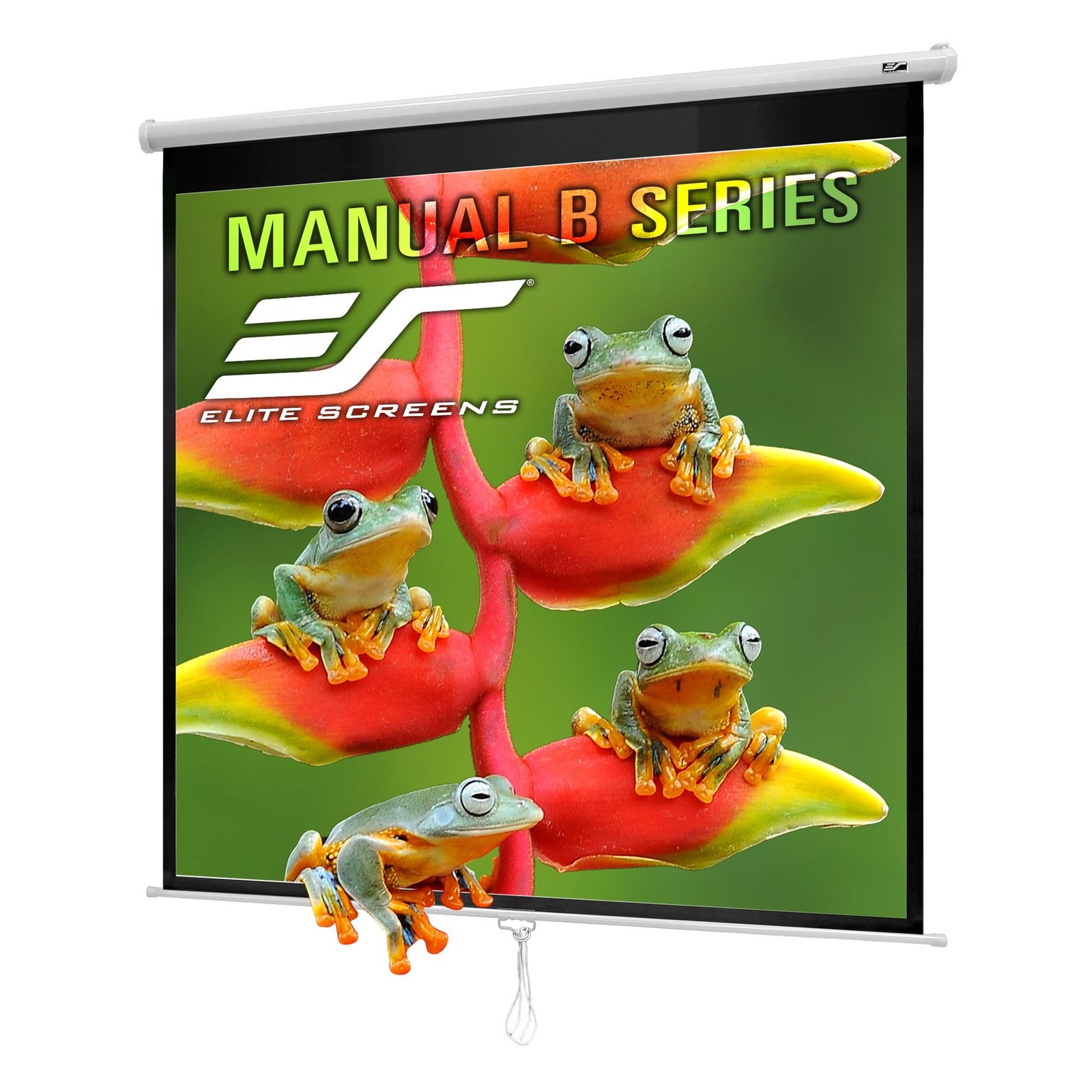 Manual B, 100-INCH 1:1, Manual Pull Down Projector Screen 4K / 8K Ultra HDR 3...