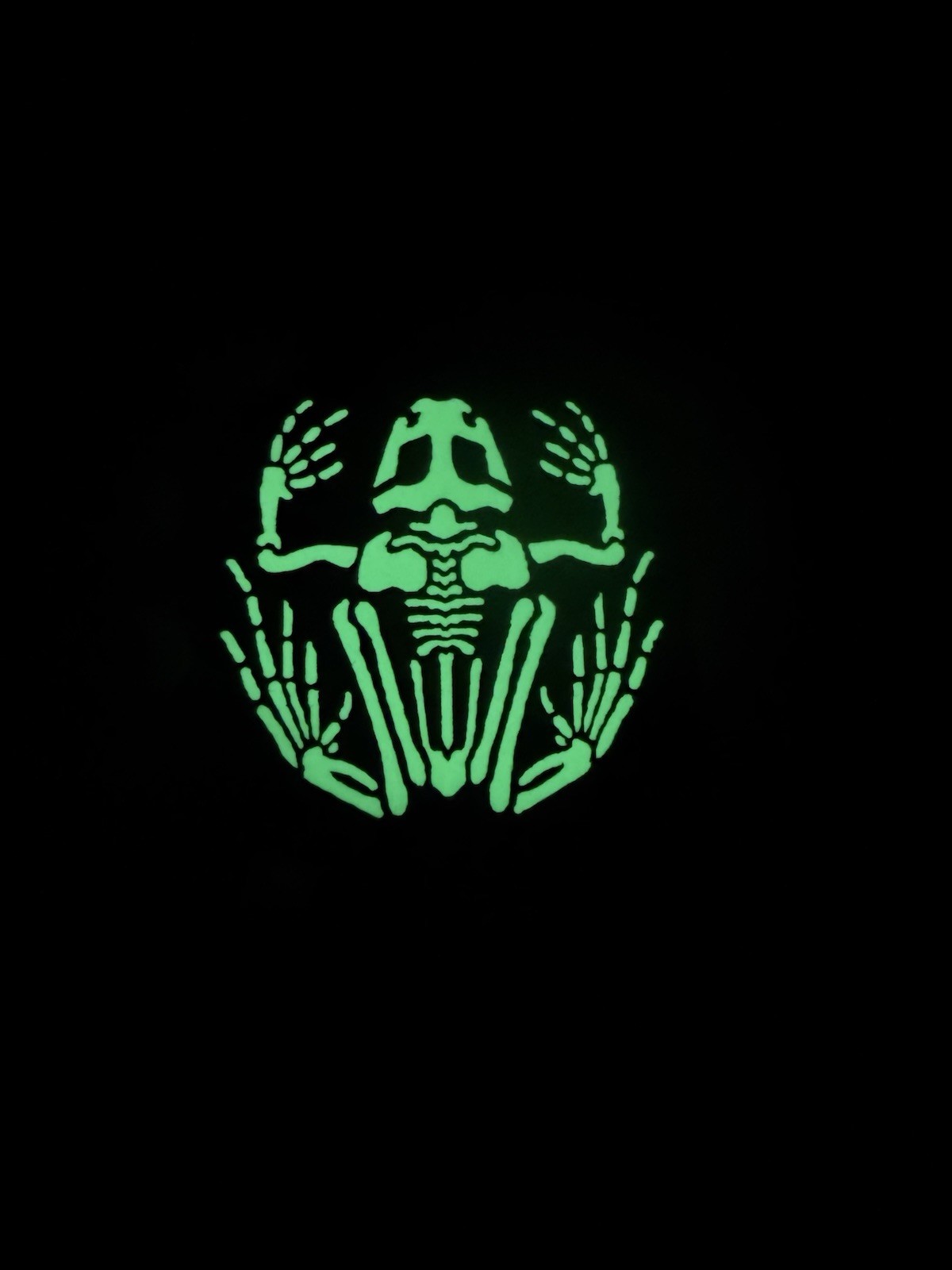 Frog Skull DEVGRU US Navy Seal Frogman IR Reflective Glow Hook Loop Patch