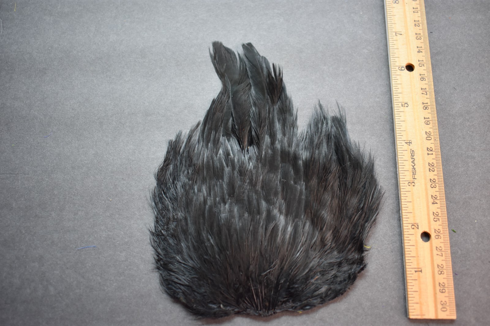 Lot 376, Dyed Black  India Hen Back Saddle Feathers for Fly Tying