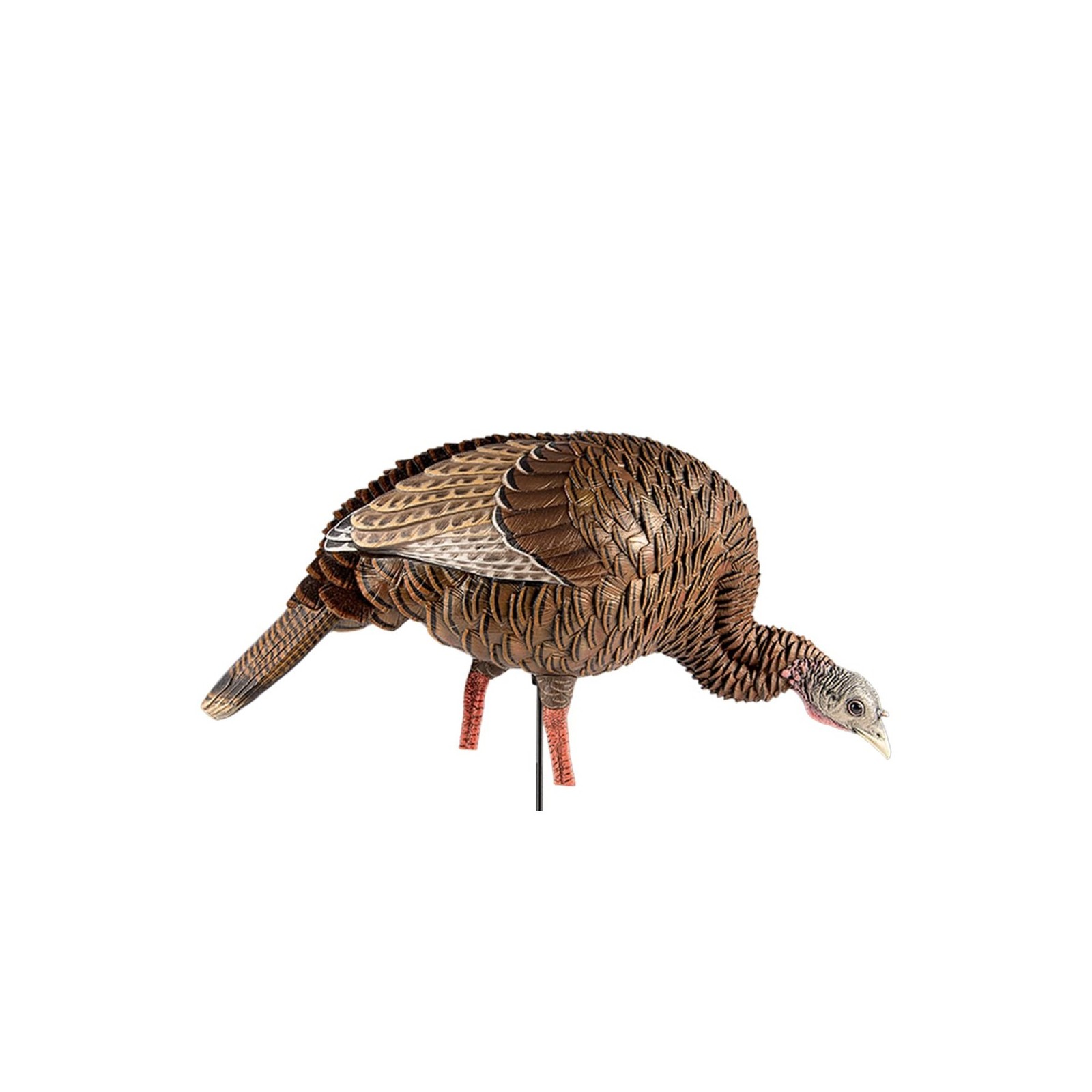 Avian-X HDR Feeding Hen Turkey Decoy | Durable Realistic Lifelike Standing Hu...