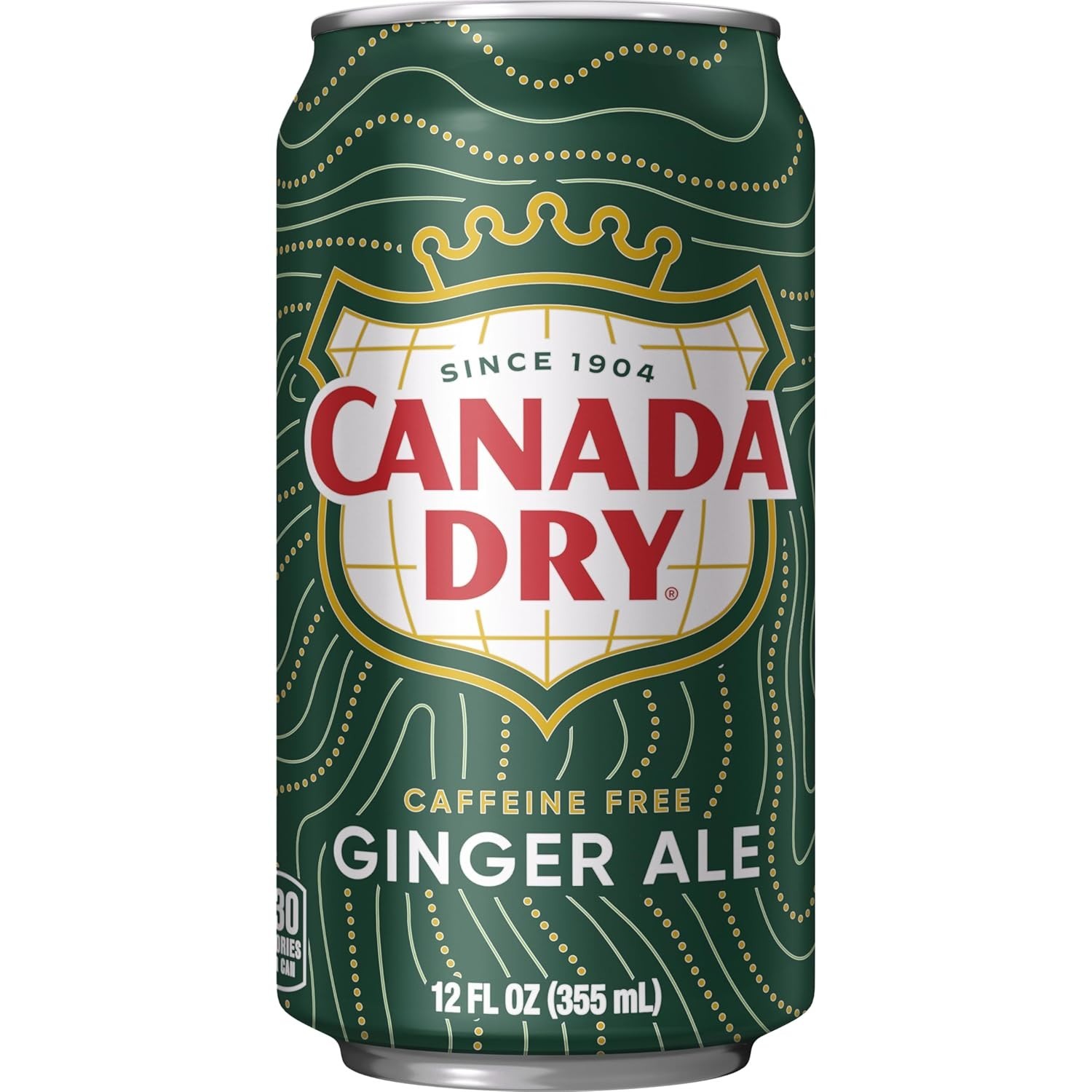 Ginger Ale Soda, 12 fl oz cans, 12 pack
