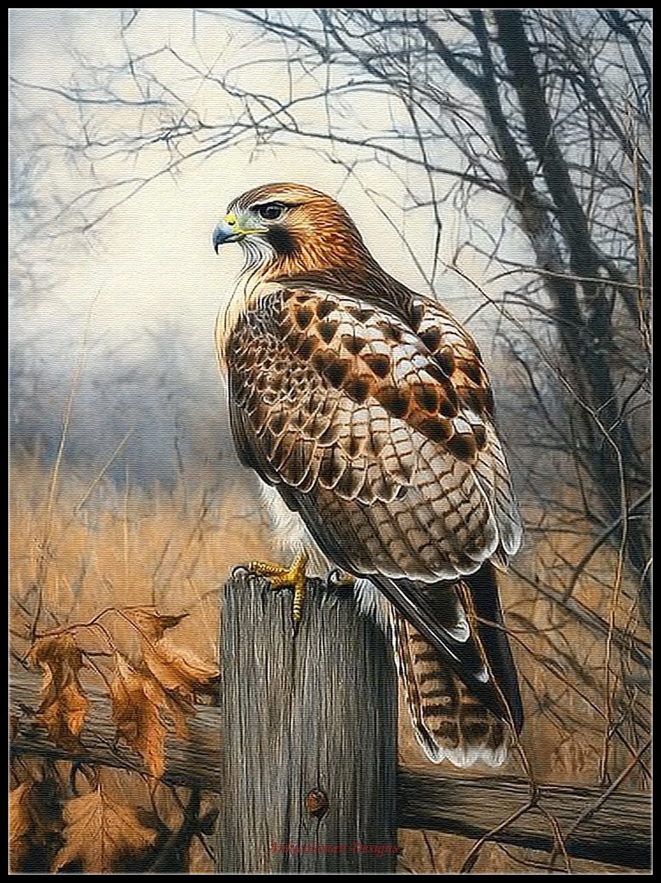 Red Tailed Hawk - Chart Counted Cross Stitch Patterns Needlework DMC Color