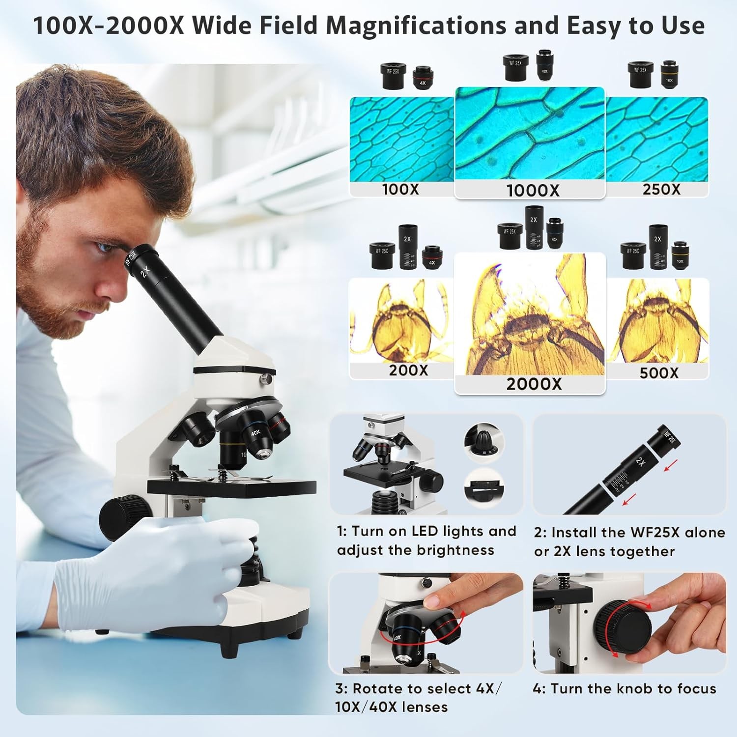 Microscope for Adults Professional:Compound Microscope for Kids 8-12,100X-2000X