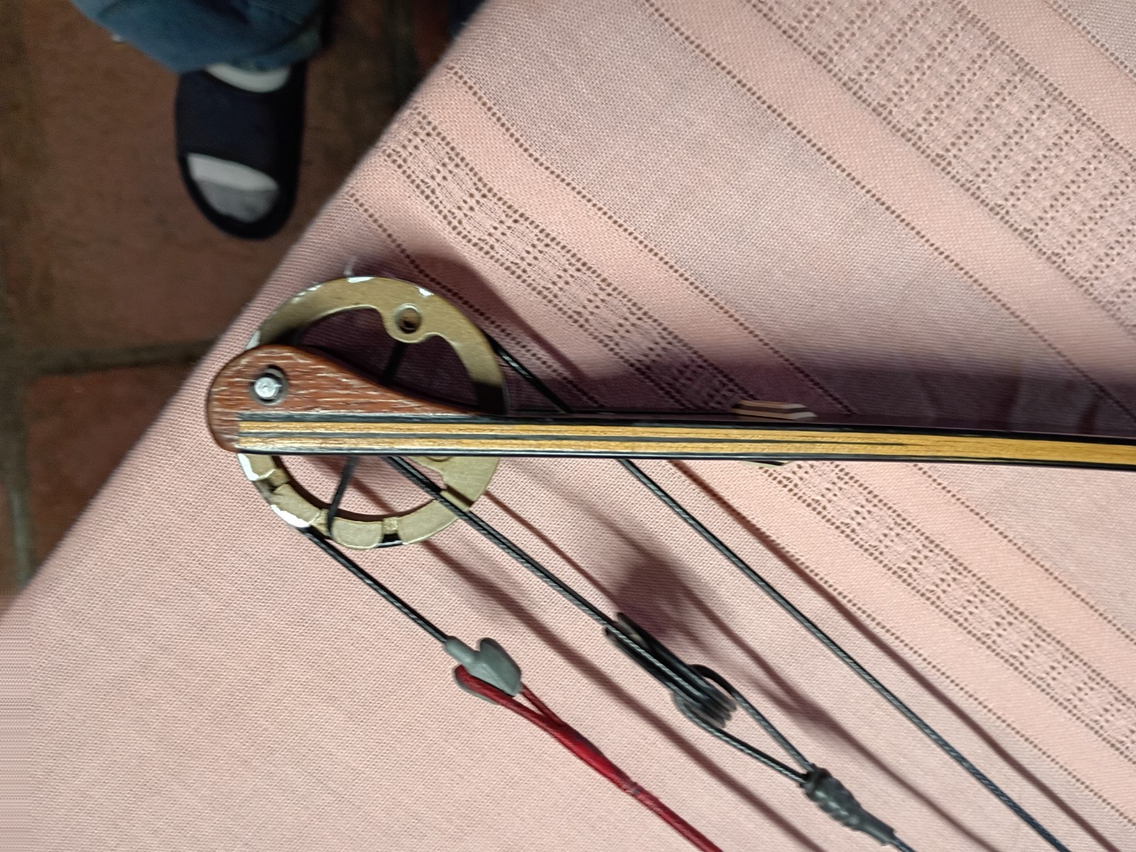 Martin Warthog Magnum Compound Bow