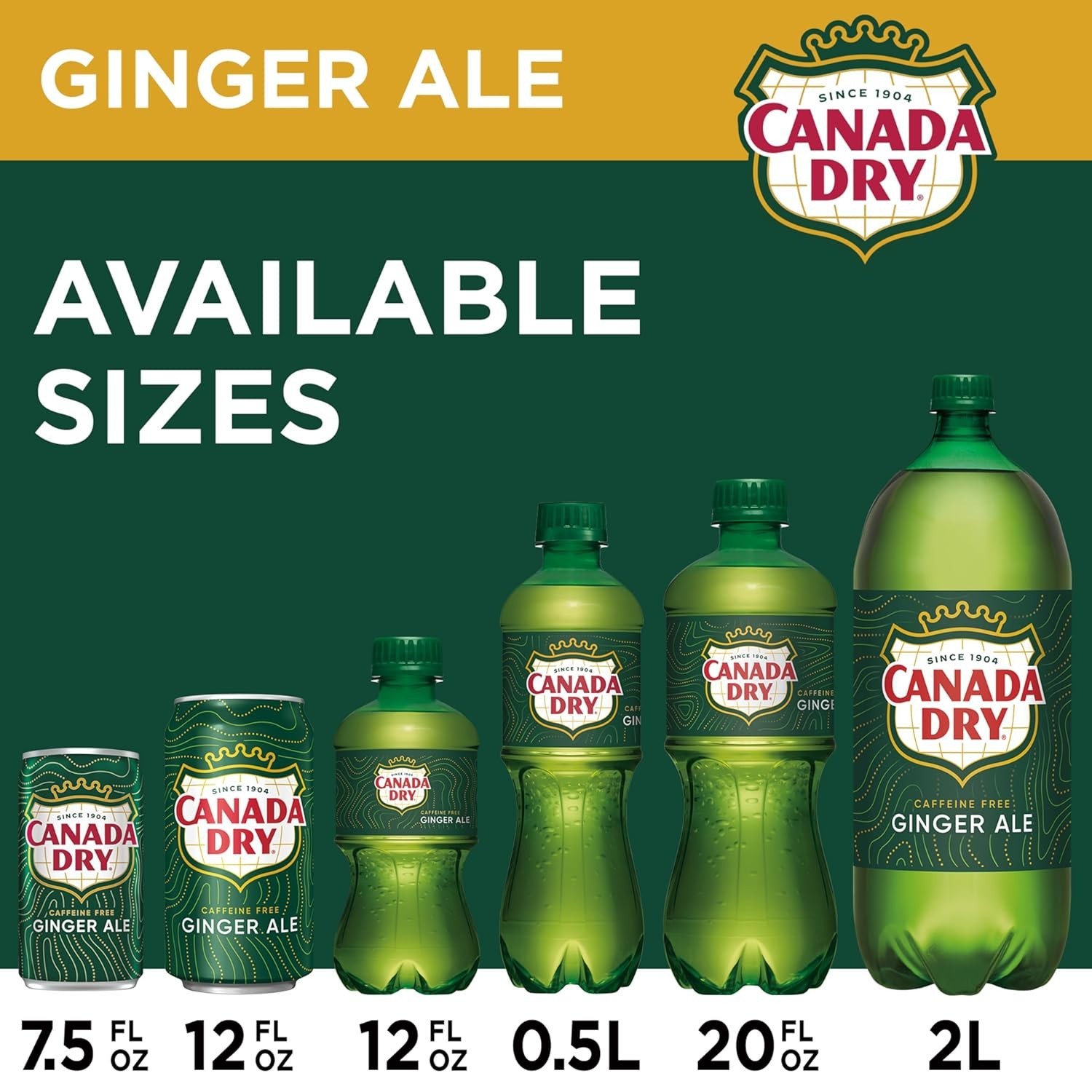 Ginger Ale Soda, 12 fl oz cans, 12 pack
