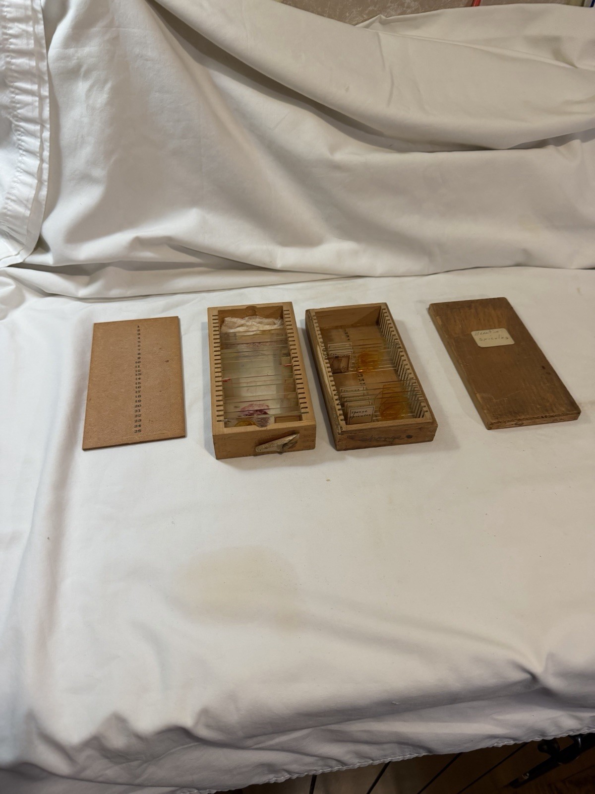 Vintage Microscope  Medical Lab Slides