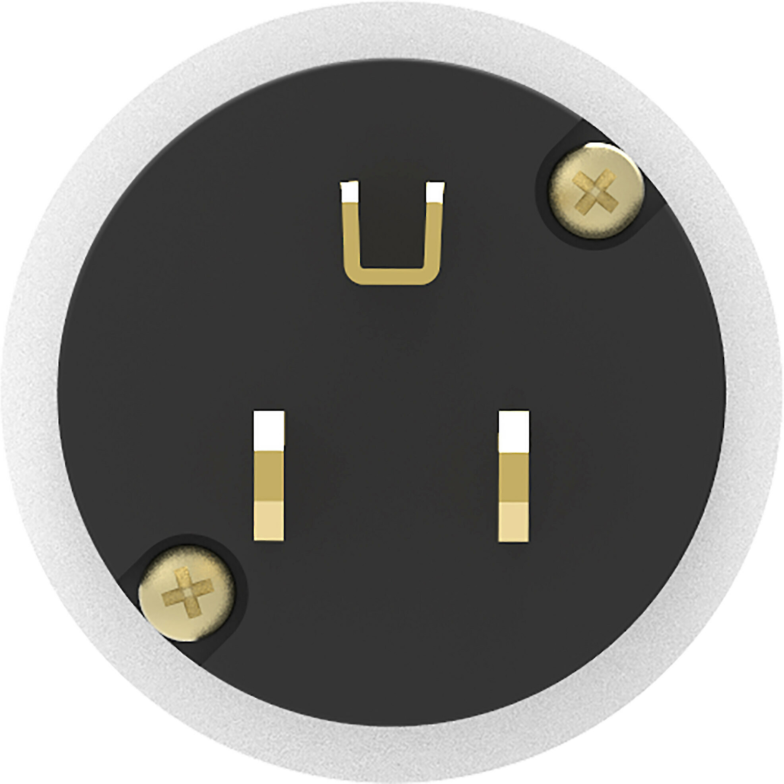 iFi AC power filter