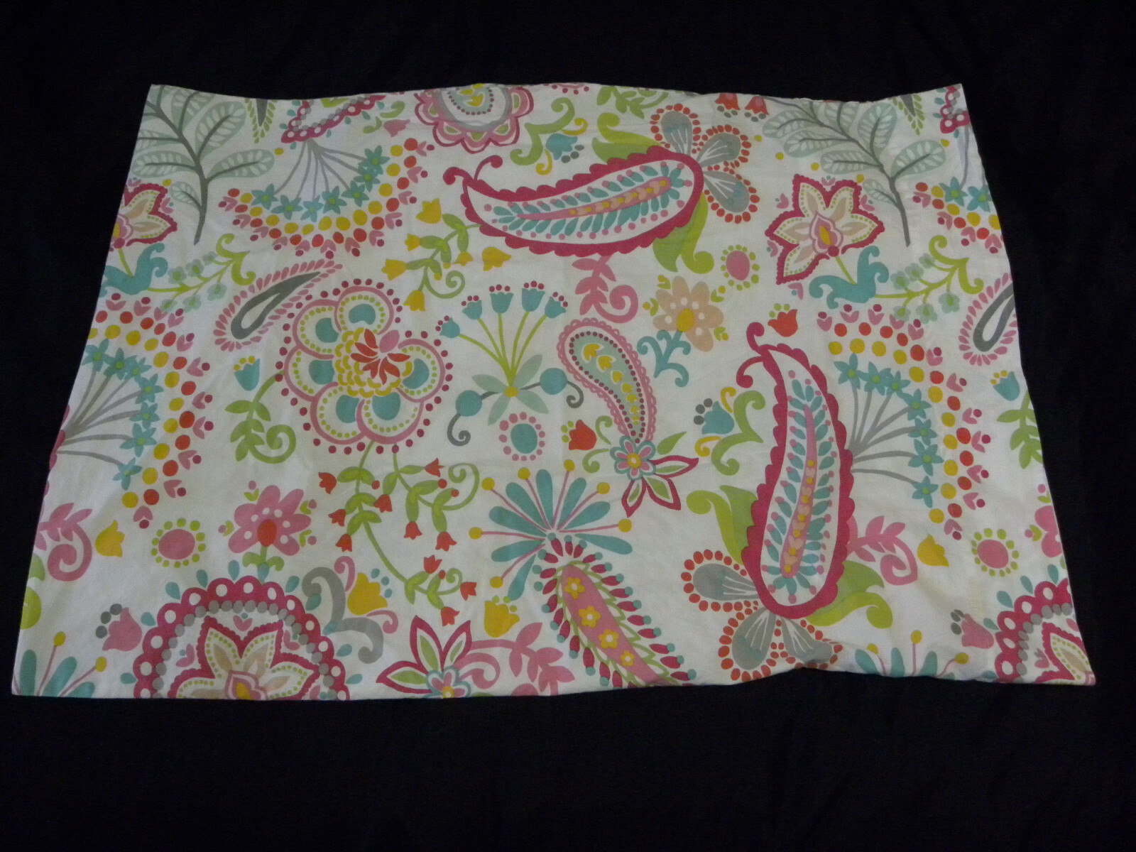 Pottery Barn Teen Swirly Paisley STD Pillow Case Floral Pink White Green Yellow