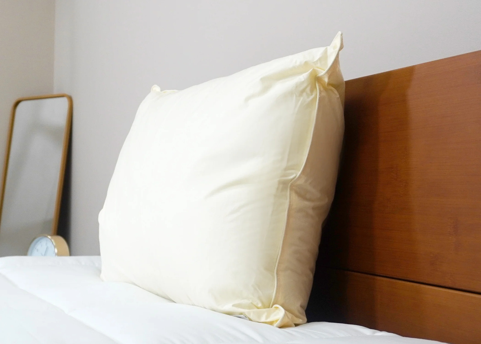 Down Etc. Aquaplush Pillow