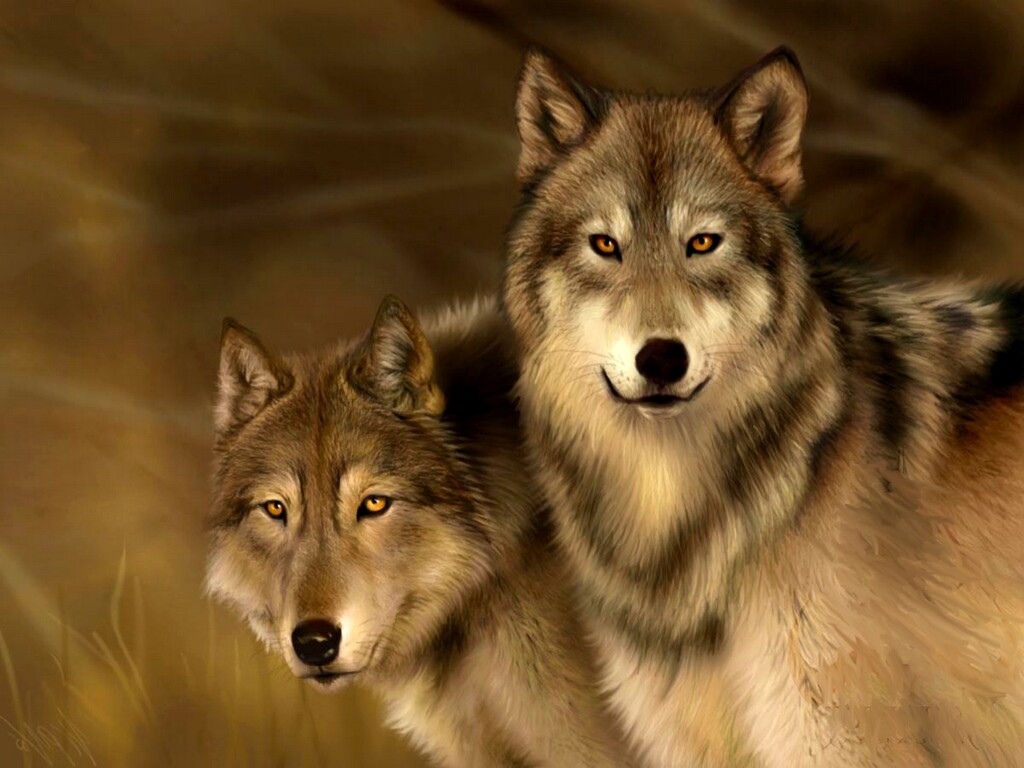 Wolf # 19 - 8 x 10 - T Shirt Iron On
