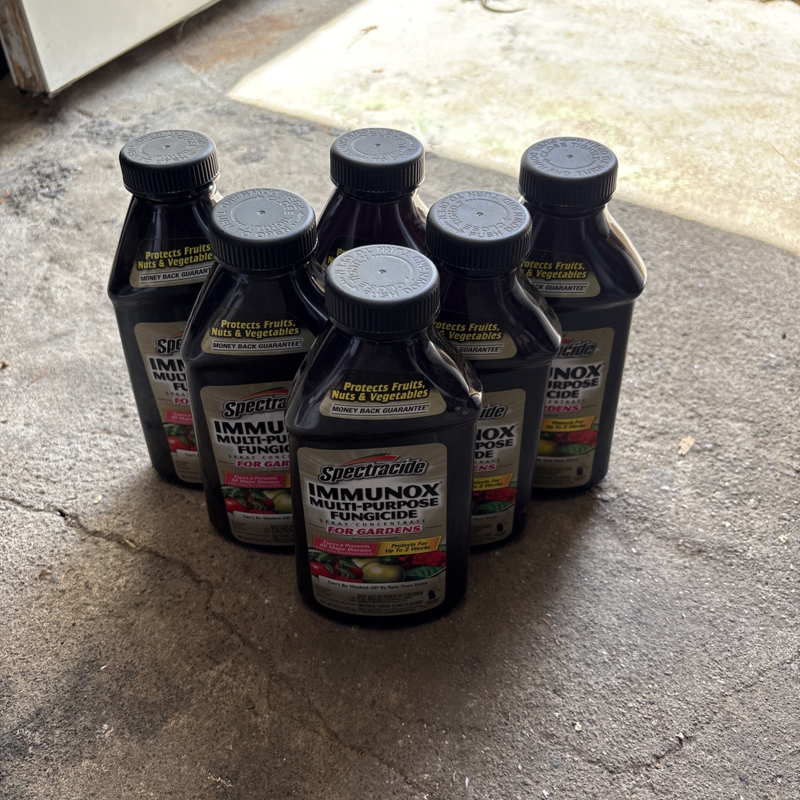 6-PACK Spectracide Immunox Multi-Purpose Fungicide Spray Concentrate 16oz