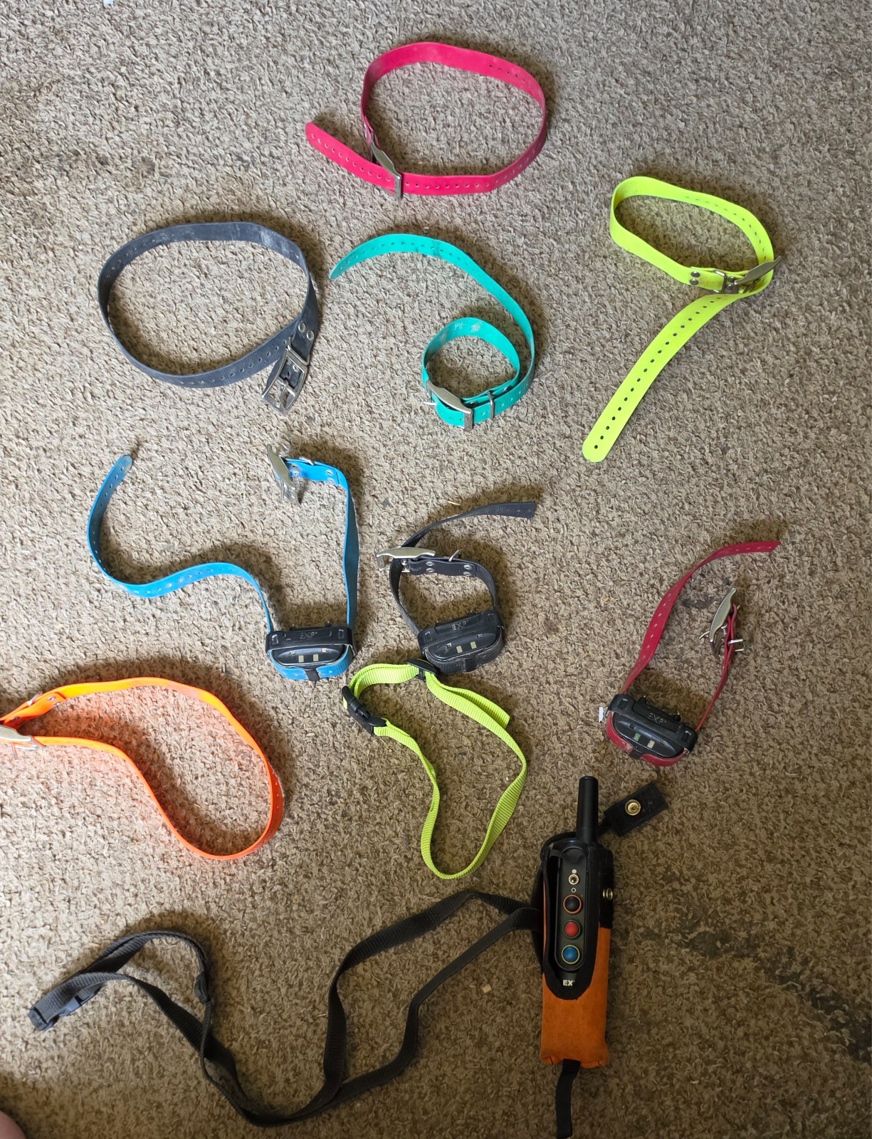 tri tronics dog collar