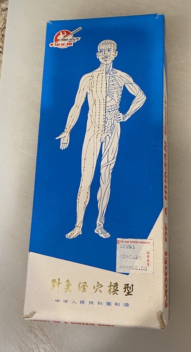 Vintage Chinese Acupuncture Points Model of a Human Body Good Health China