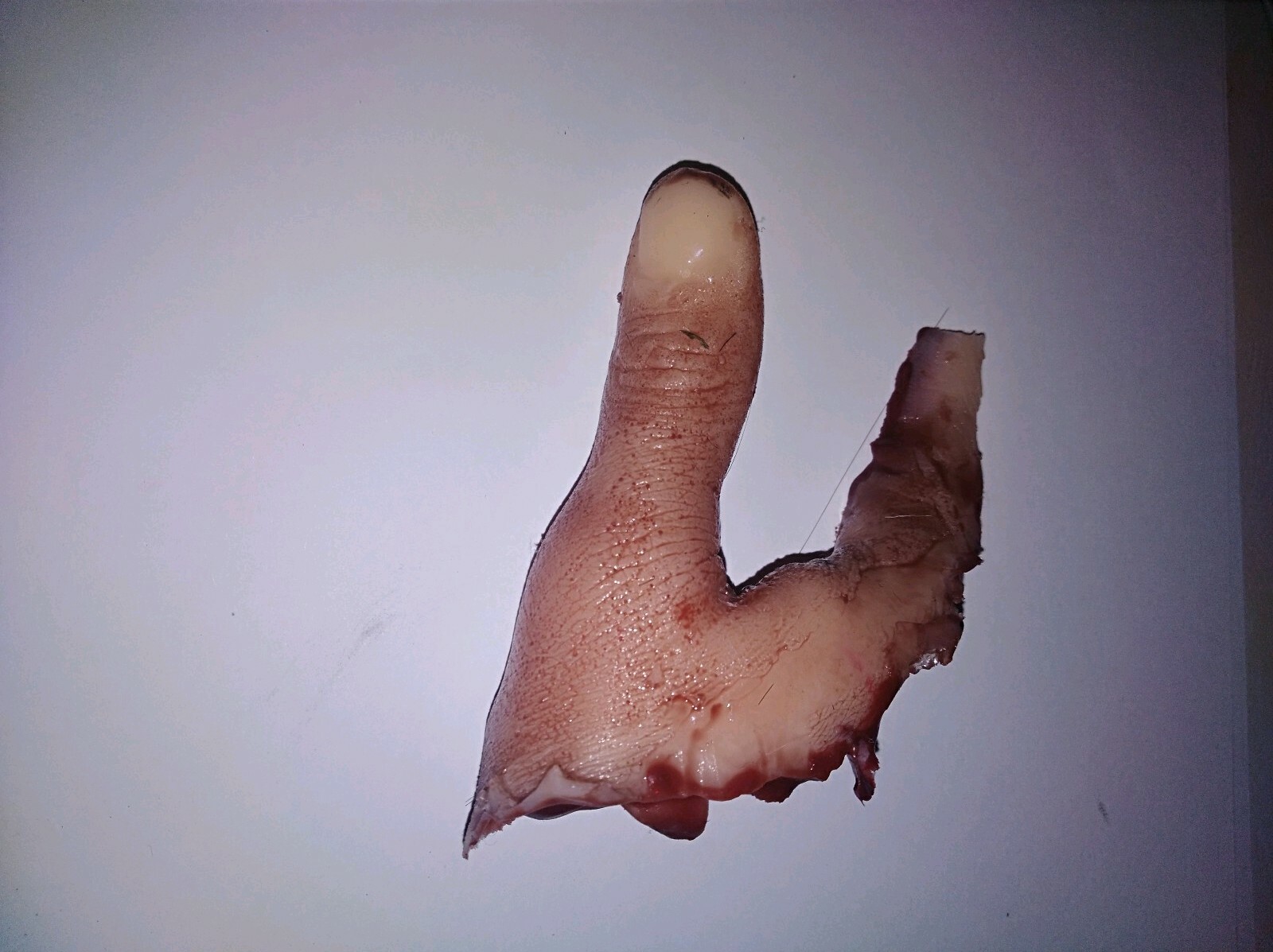 Silicone horror movie prop severed thumb chopped off gore prank film halloween