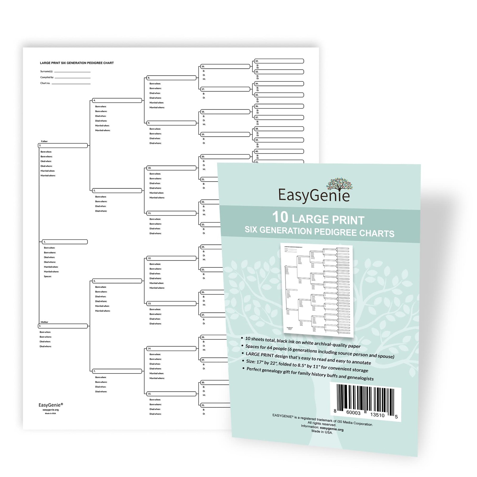 Large Print Pedigree Charts 10-Pack Six-Generation Archival Genealogy Forms