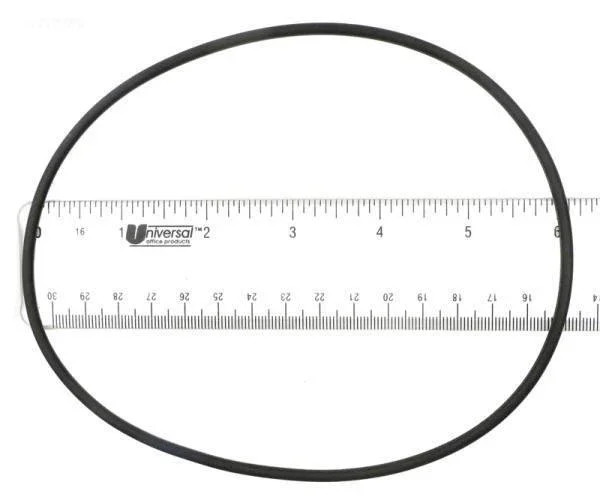 O-Ring, Valve Lid